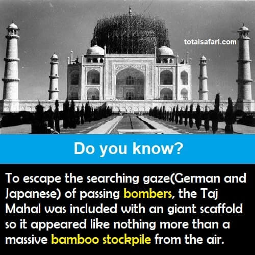 This is how the Taj Mahal was protected during World War 2