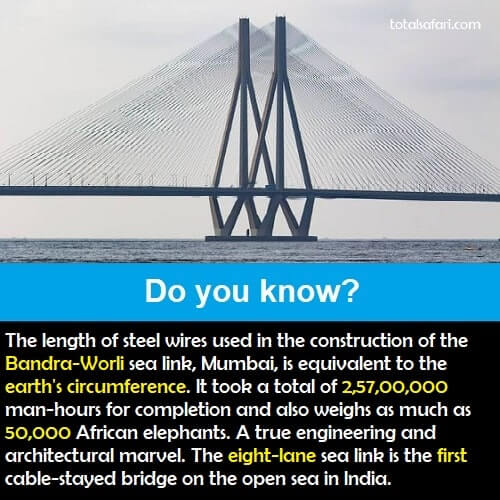 Bandra Worli Sea Link Mumbai Interesting Facts Total Safari